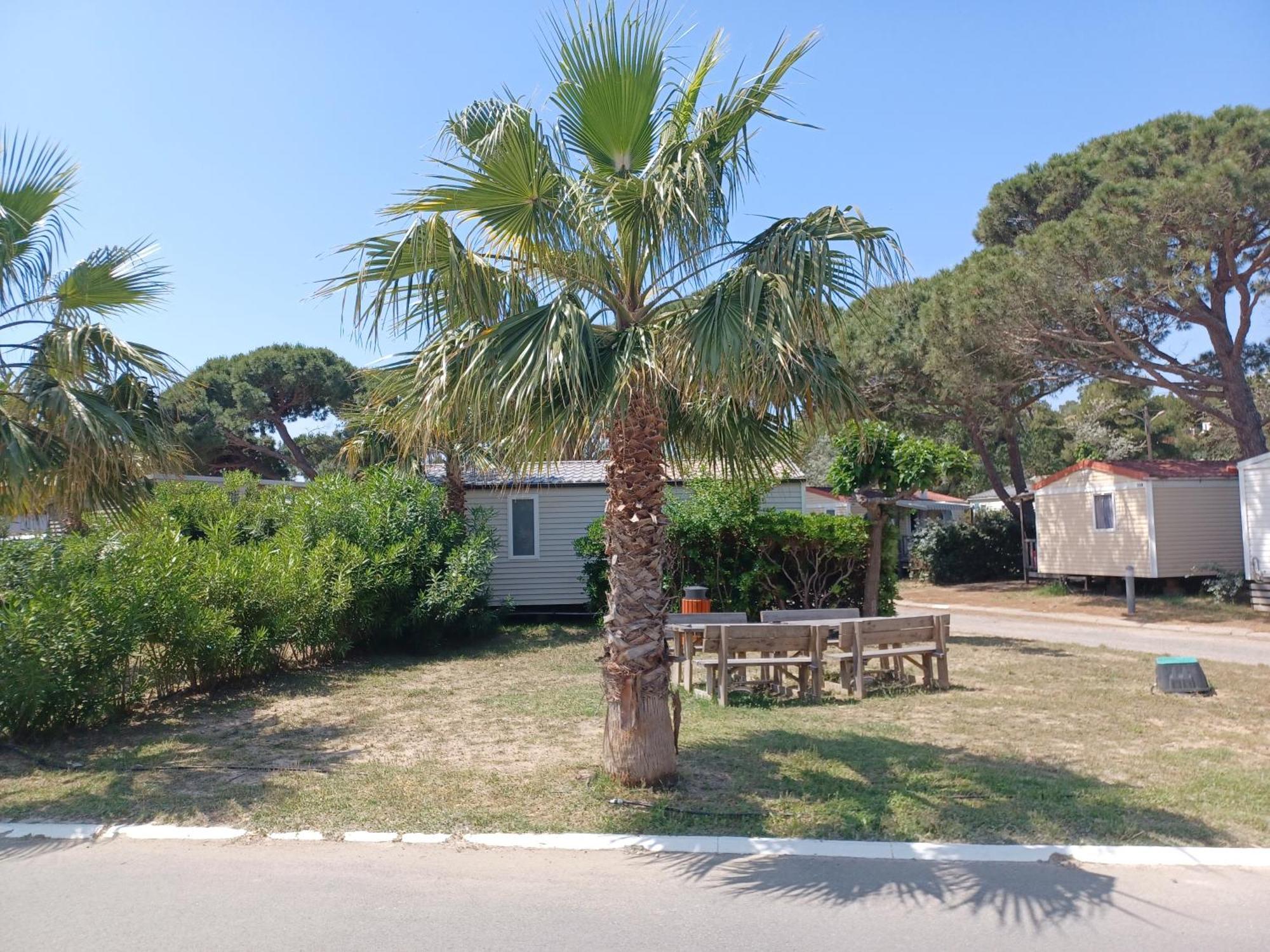 Mobil-Home Pour 6 Personnes ナルボンヌ エクステリア 写真